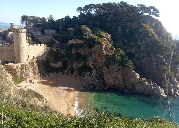 Coral トッサ・デ・マール