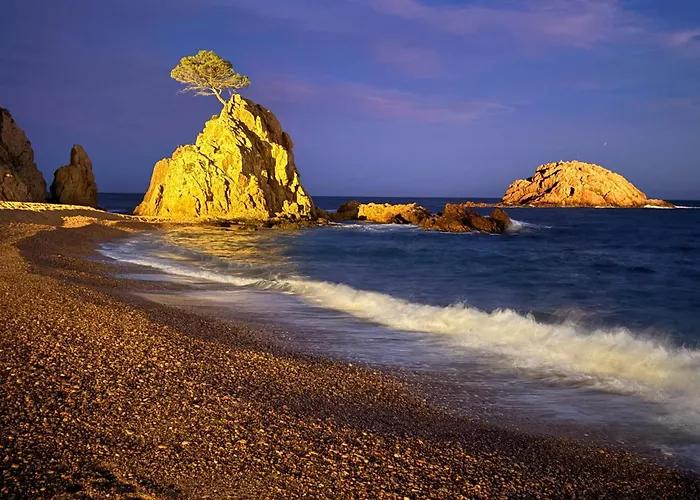 Coral * Tossa de Mar